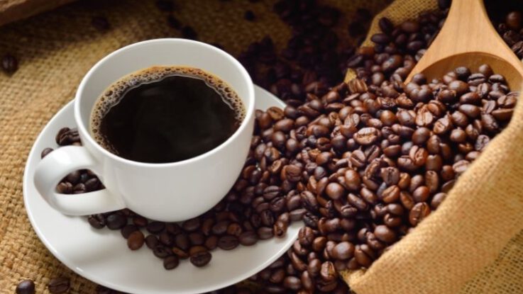 Woran erkennt man gute Kaffeebohnen?