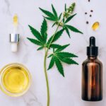 Von der Pflanze zum Produkt: Die spannende Reise des CBDs